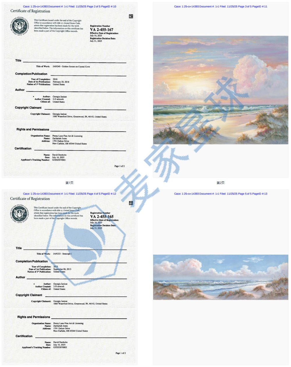 Georgia Janisse Copyrights