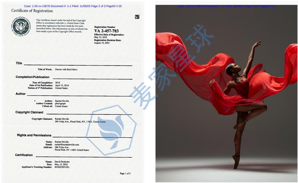 Rachel Neville Copyright