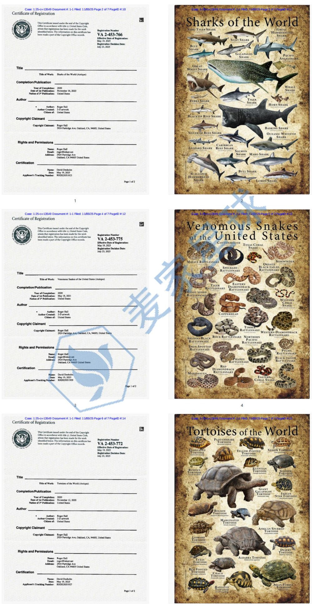 Roger Hall Copyrights