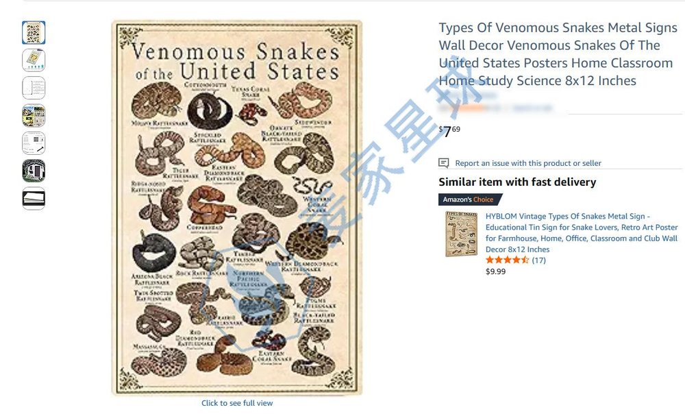 Roger Hall Copyrights Infringement