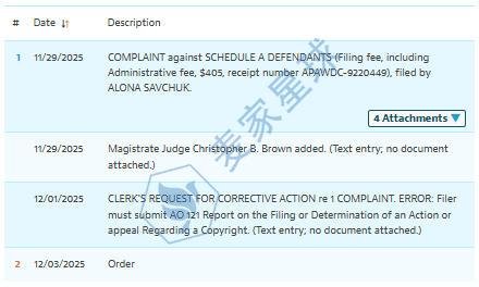 Alona Savchuk Copyrights infringing 2025-cv-01843