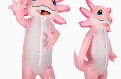 Axoloti costume