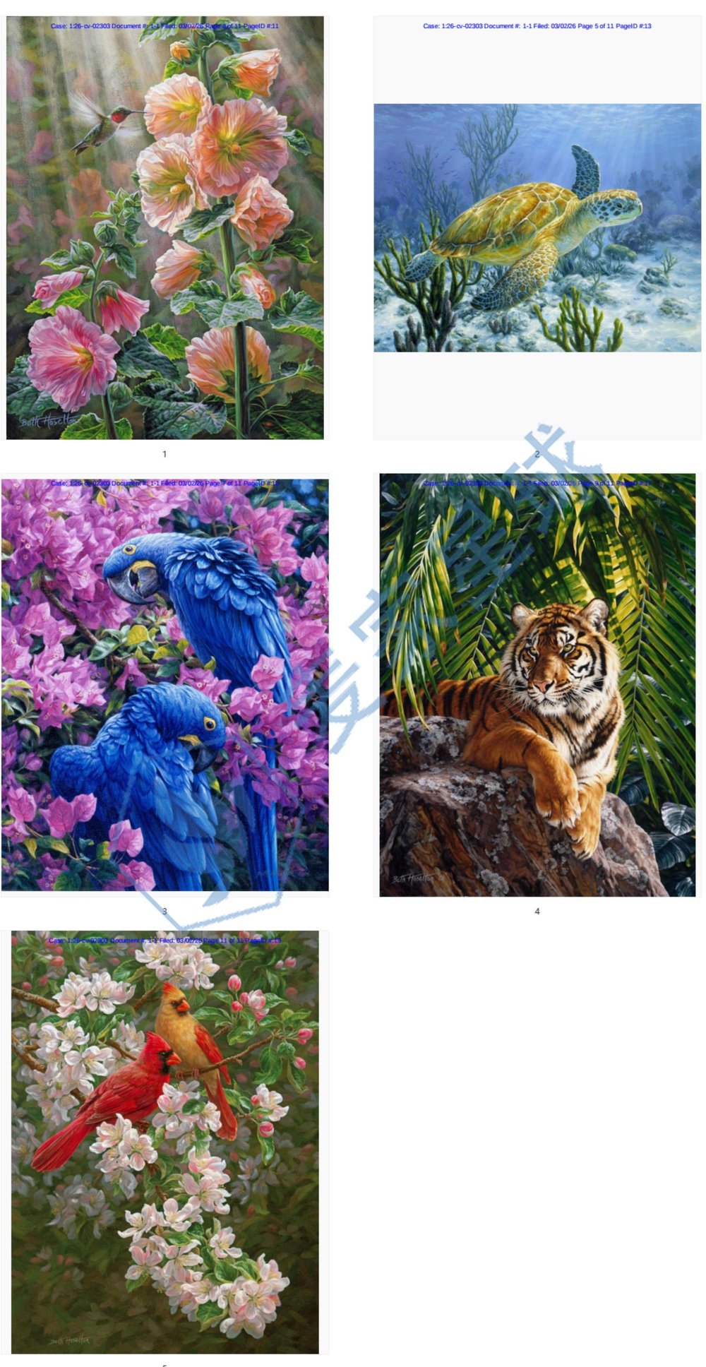 Beth Hoselton-Gray Copyrights