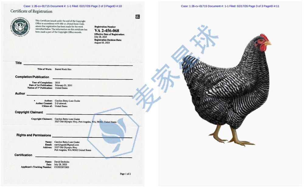 Carolyn Betty-Loes Guske Barred Rock Hen Copyright