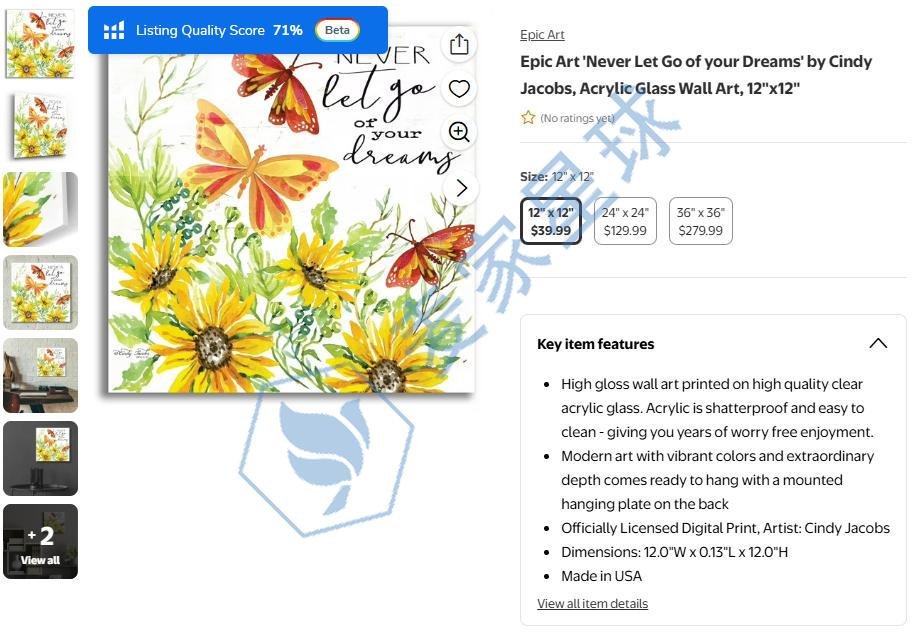 Cynthia Jo Jacobs Copyrights Product