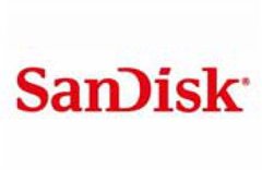 SANDISK 闪迪
