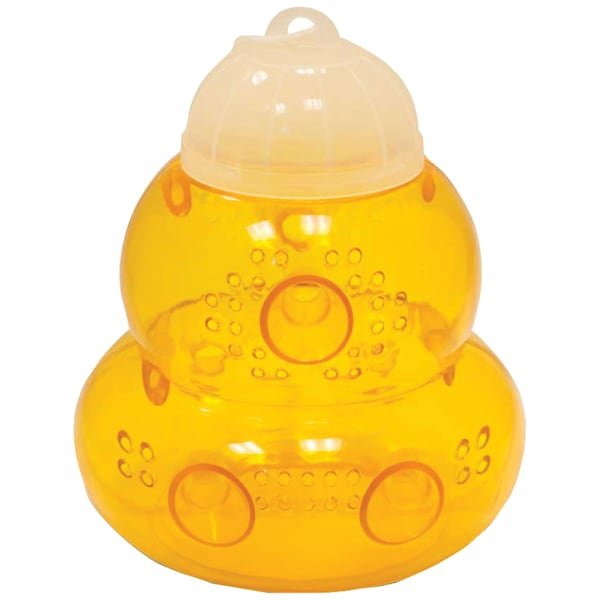 Insect Trap