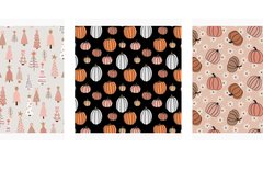 Diane Robison Copyrights Cover