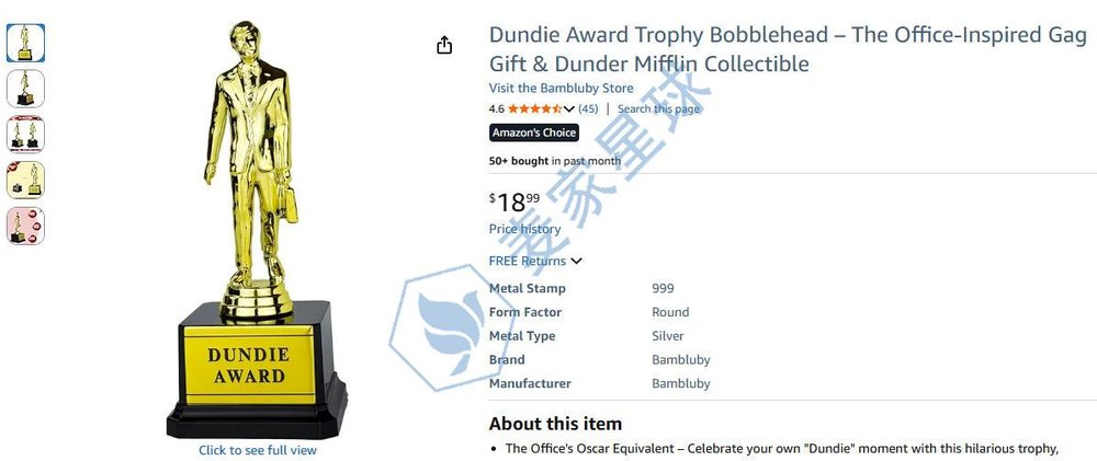 Dunder Mifflin Trademark infringement