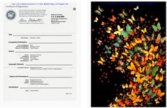 Elizabeth Anne Evans Copyrights1