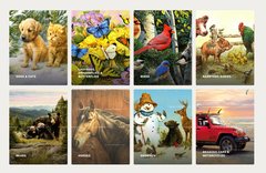 Greg & Company Copyrights Cover