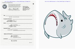 Jensen Tabangcura Copyright