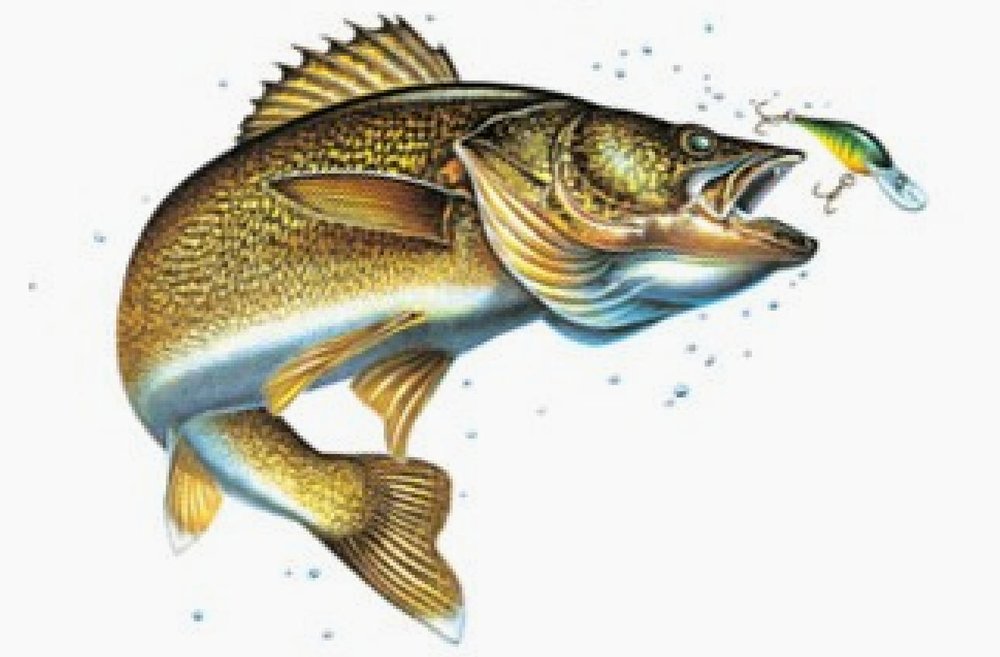 Jon Q. Wright Copyrights Cover