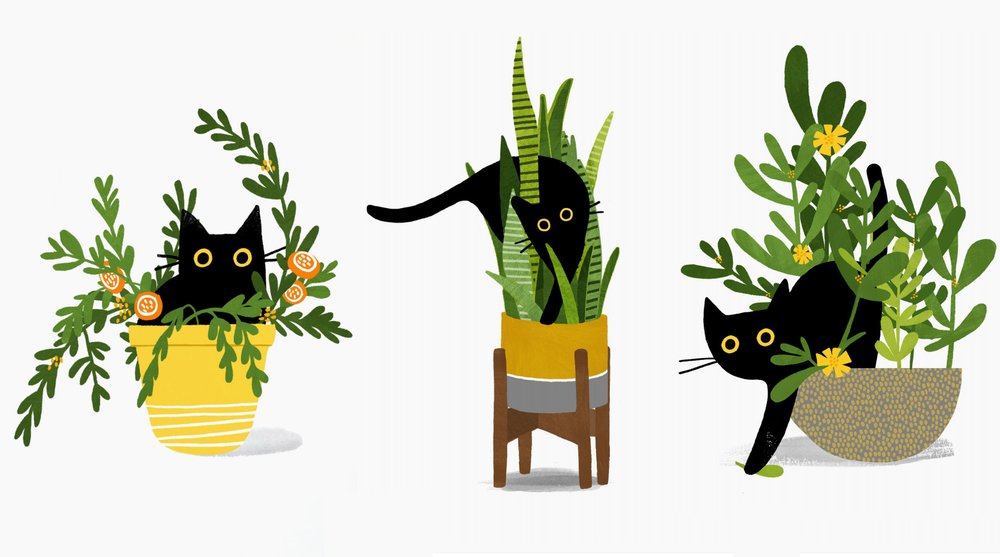 Leeza Hernandez Cat Copyrights