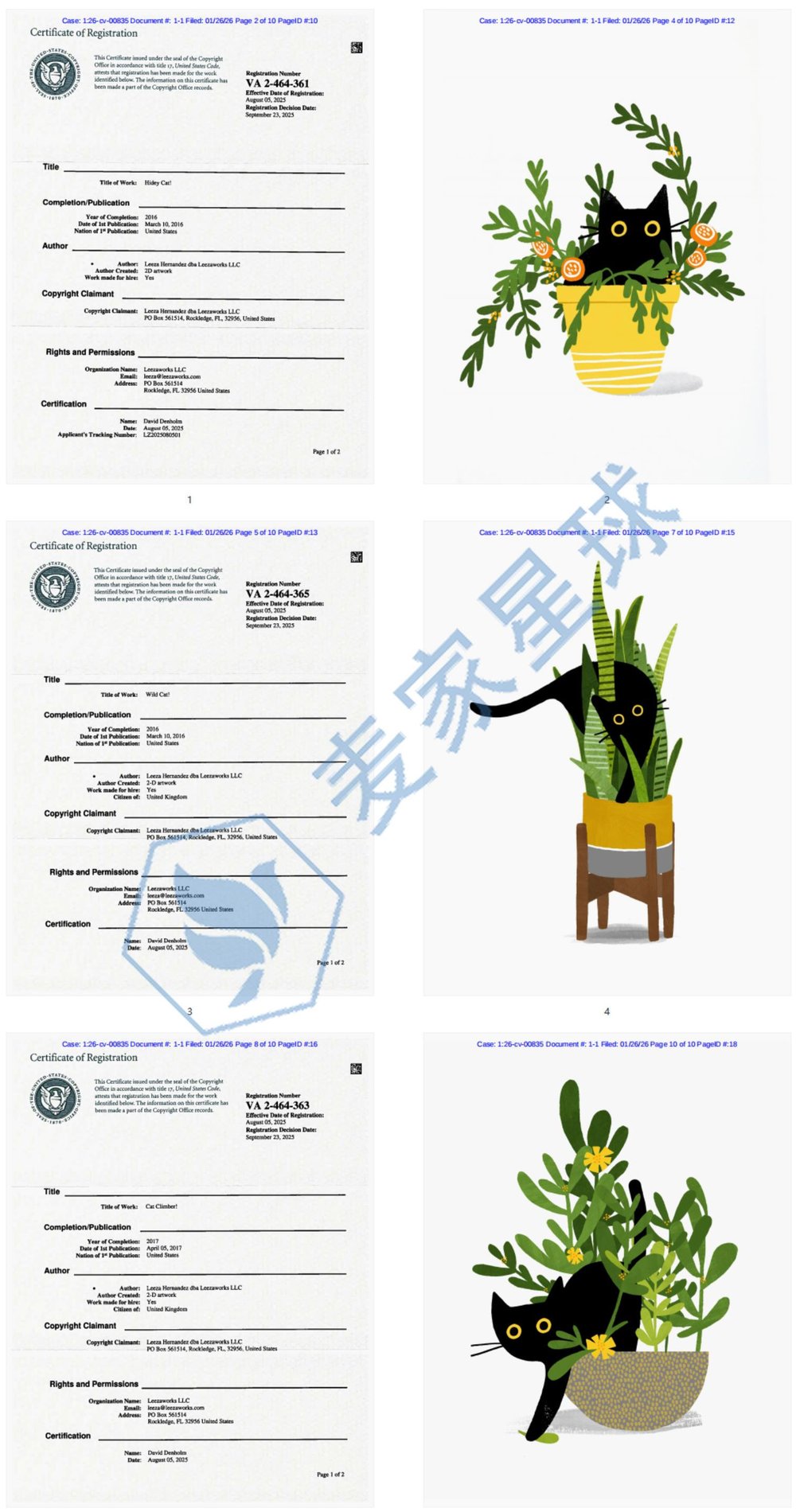 Leeza Hernandez Cat Copyrights s