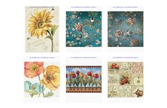 Lisa Audit Copyright Cover