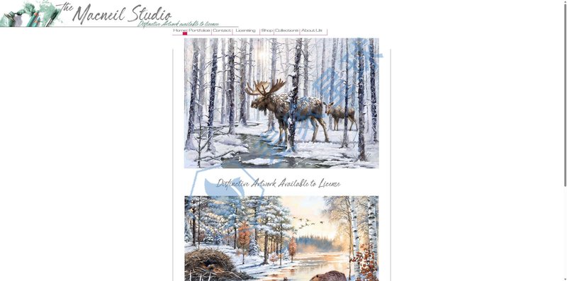 Macneil Studio Official Website