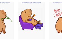 Olga Zikova Copyrights Cover