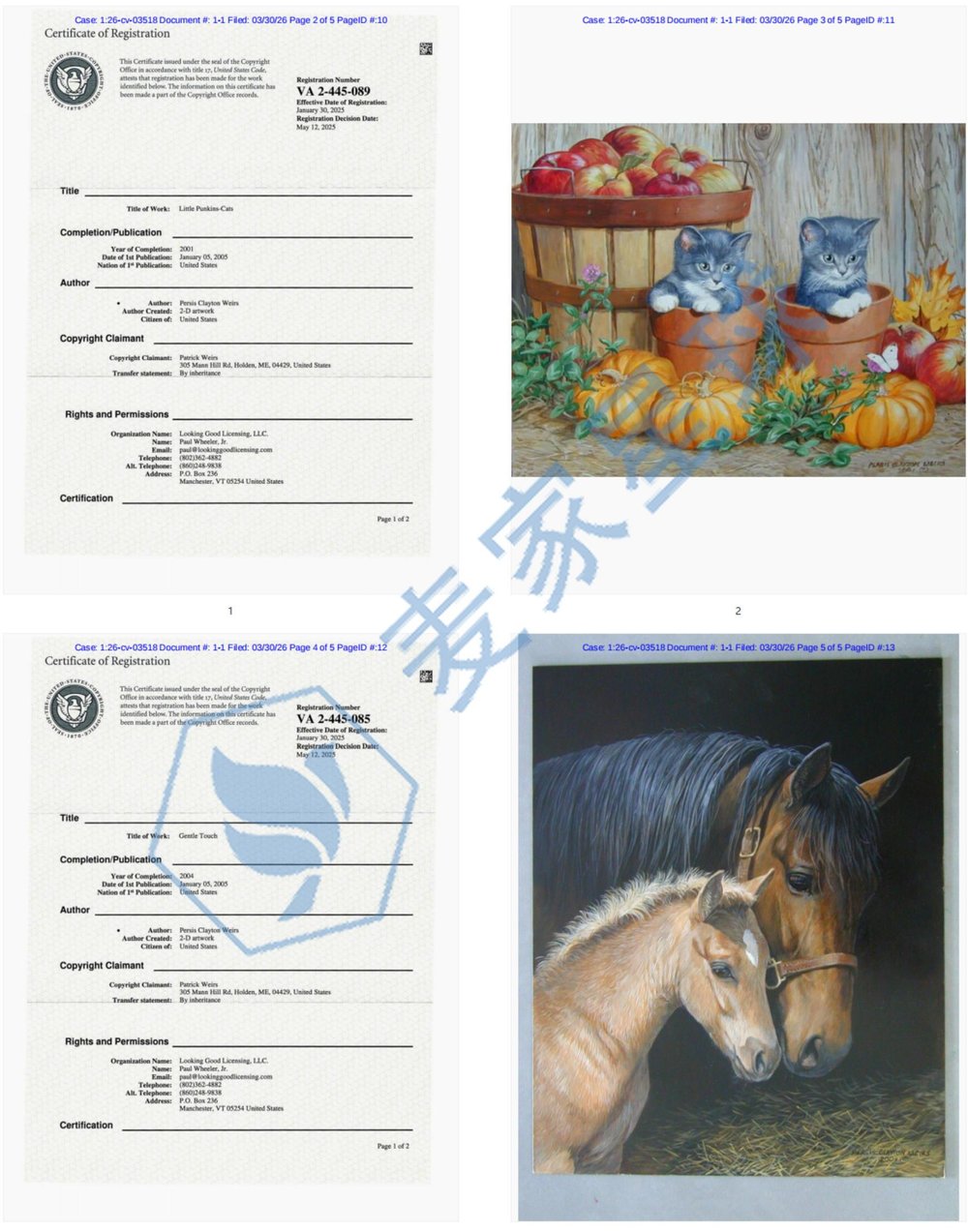 Patrick Weirs Copyrights