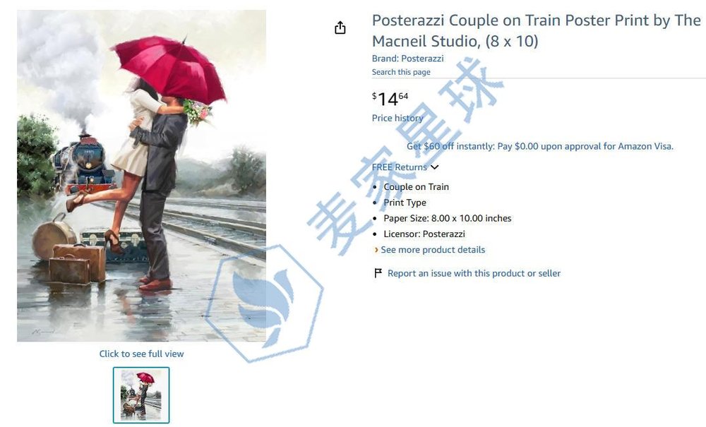 Posterazzi Couple on Train Poster