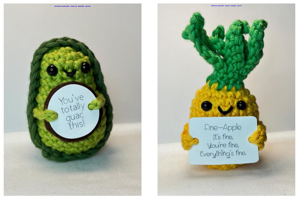 Rebecca Coster Copyright Cover