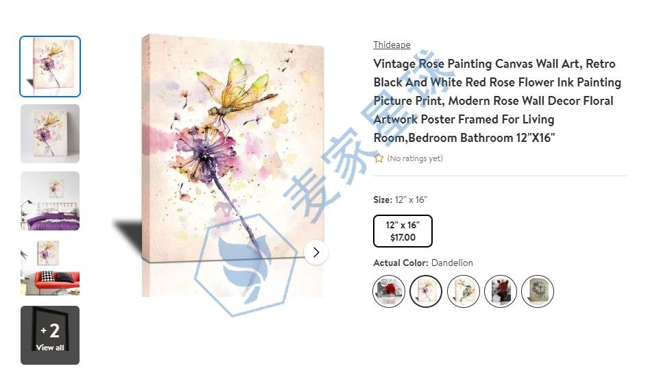 Sally Walsh Copyright Product