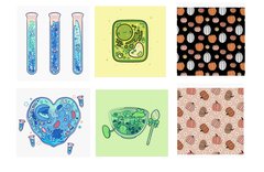 Sara Nemec Copyrights