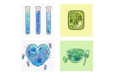 Sara Nemec Copyrights Cover