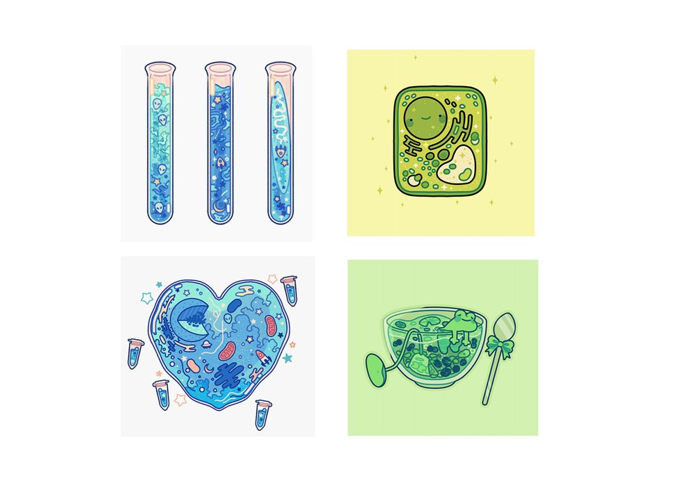 Sara Nemec Copyrights Cover