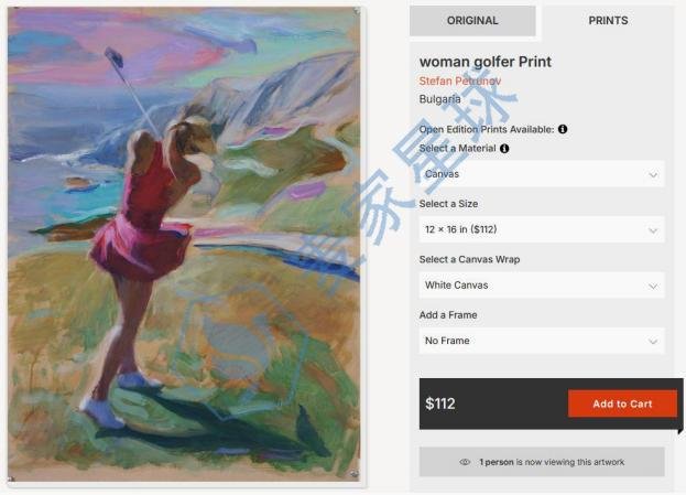 Stefan Georgiev Petrunov Copyright