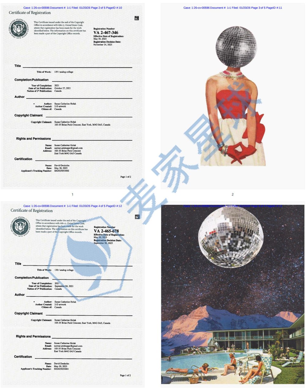 Susan Catherine Holak