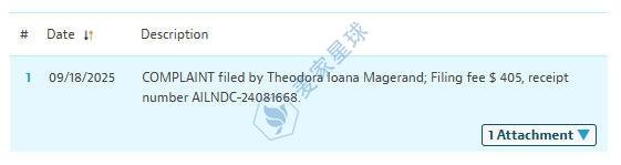 Theodora Ioana Magerand Infringement 2025-cv-11322