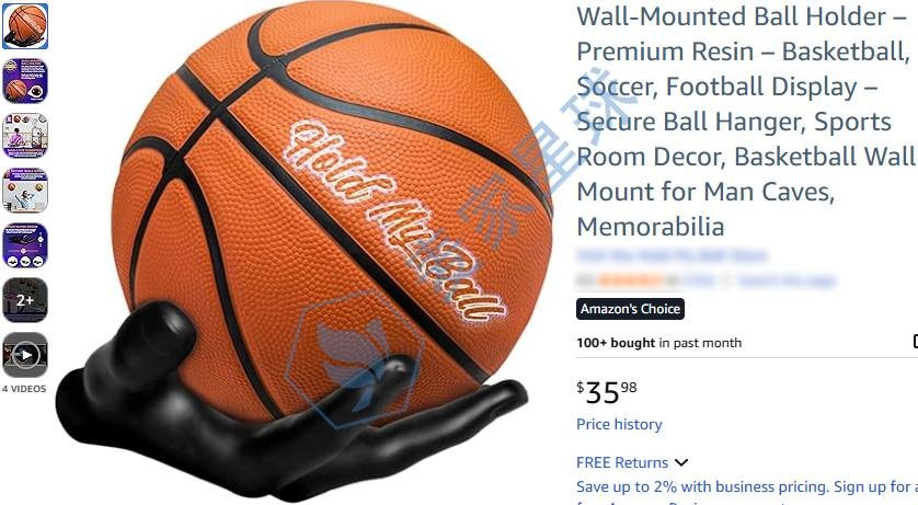 Wall Mounted Ball Holder