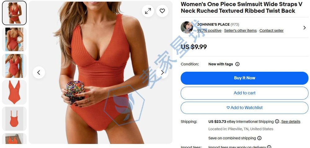 Women's One Piece Swimsuit Wide Straps V Neck