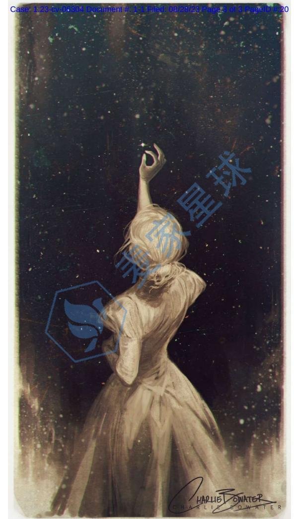 charlie bowater copyright work