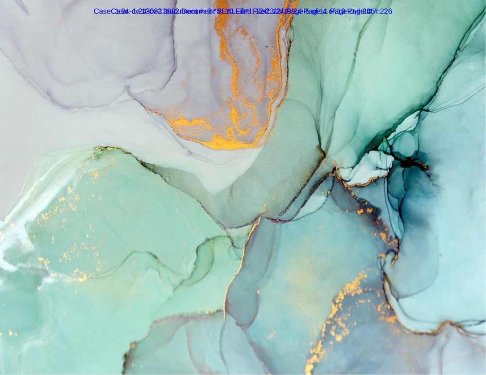 ilnd-1_2024-cv-13082-00010_01