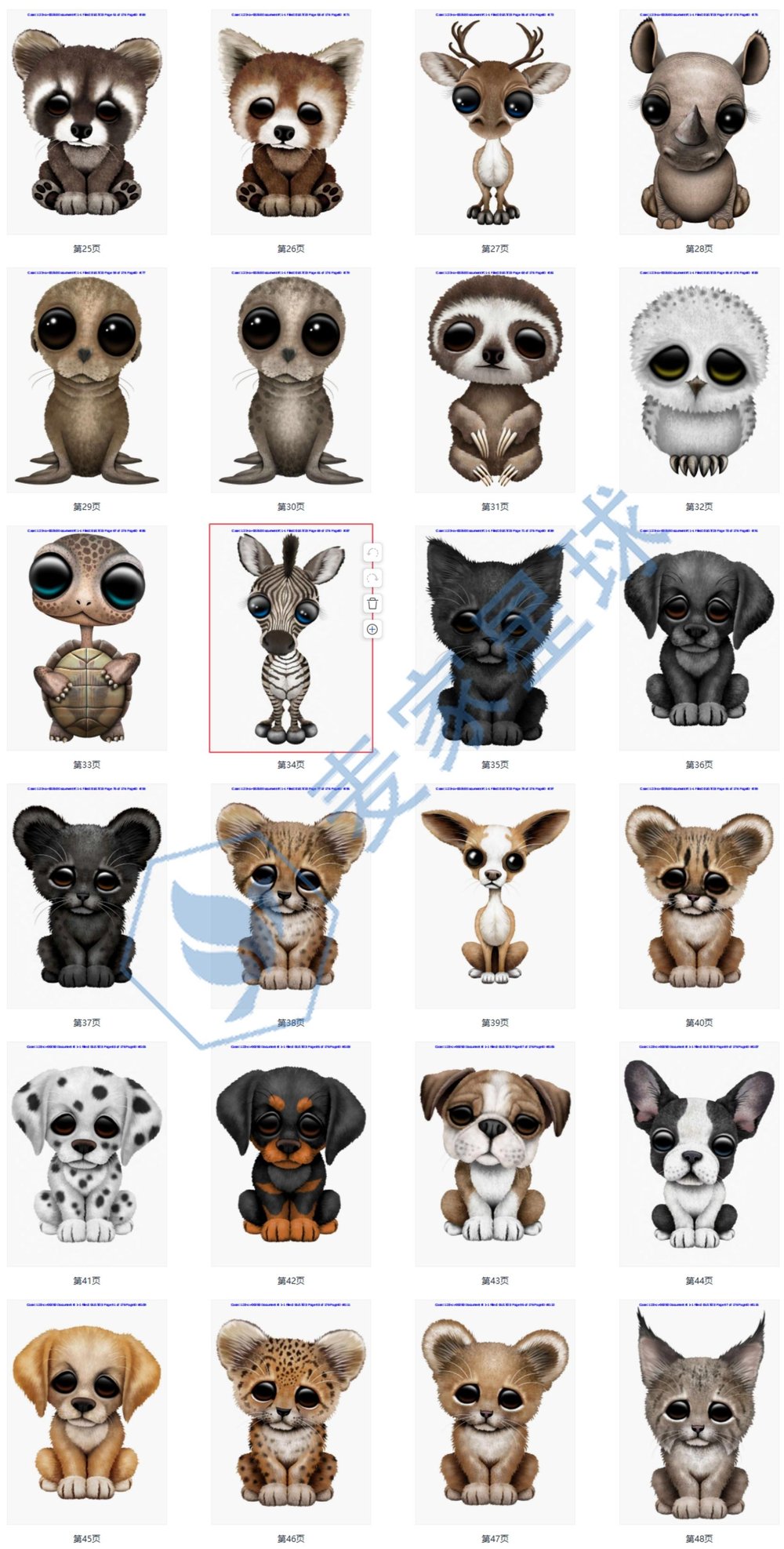 jeff bartels copyrights 2