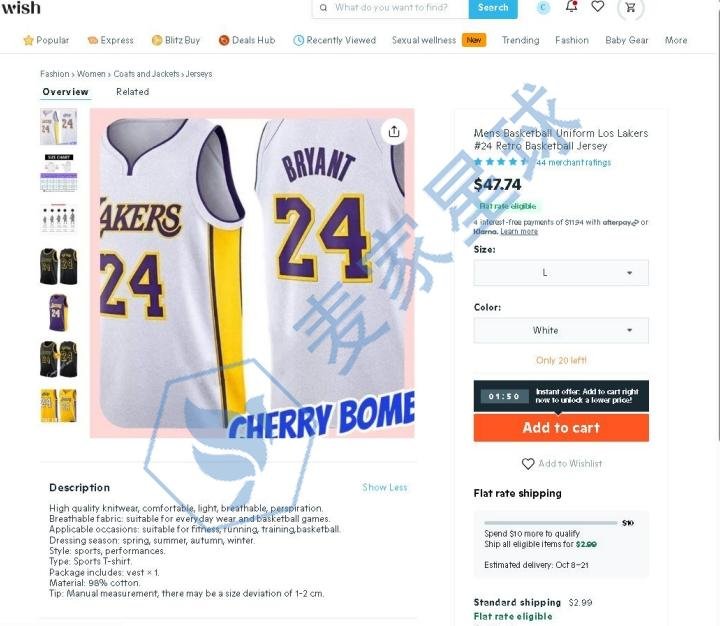 nba trademark infringing product